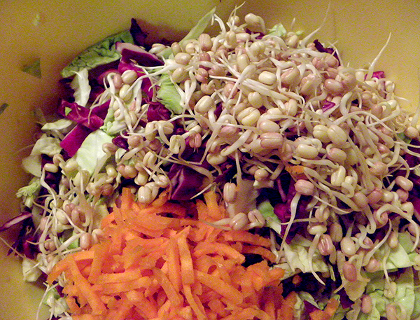 Large Bowl of Cabbage, Sprouts, and Julienned Carrots