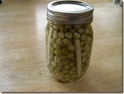 pickled pods