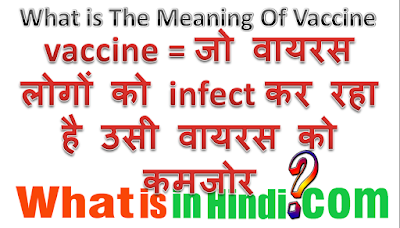 Vaccine ka matlab kya hota hai