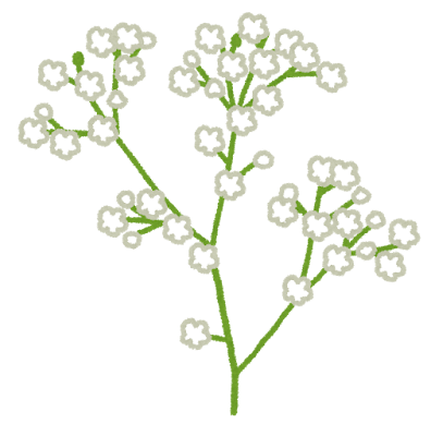 かすみ草のイラスト