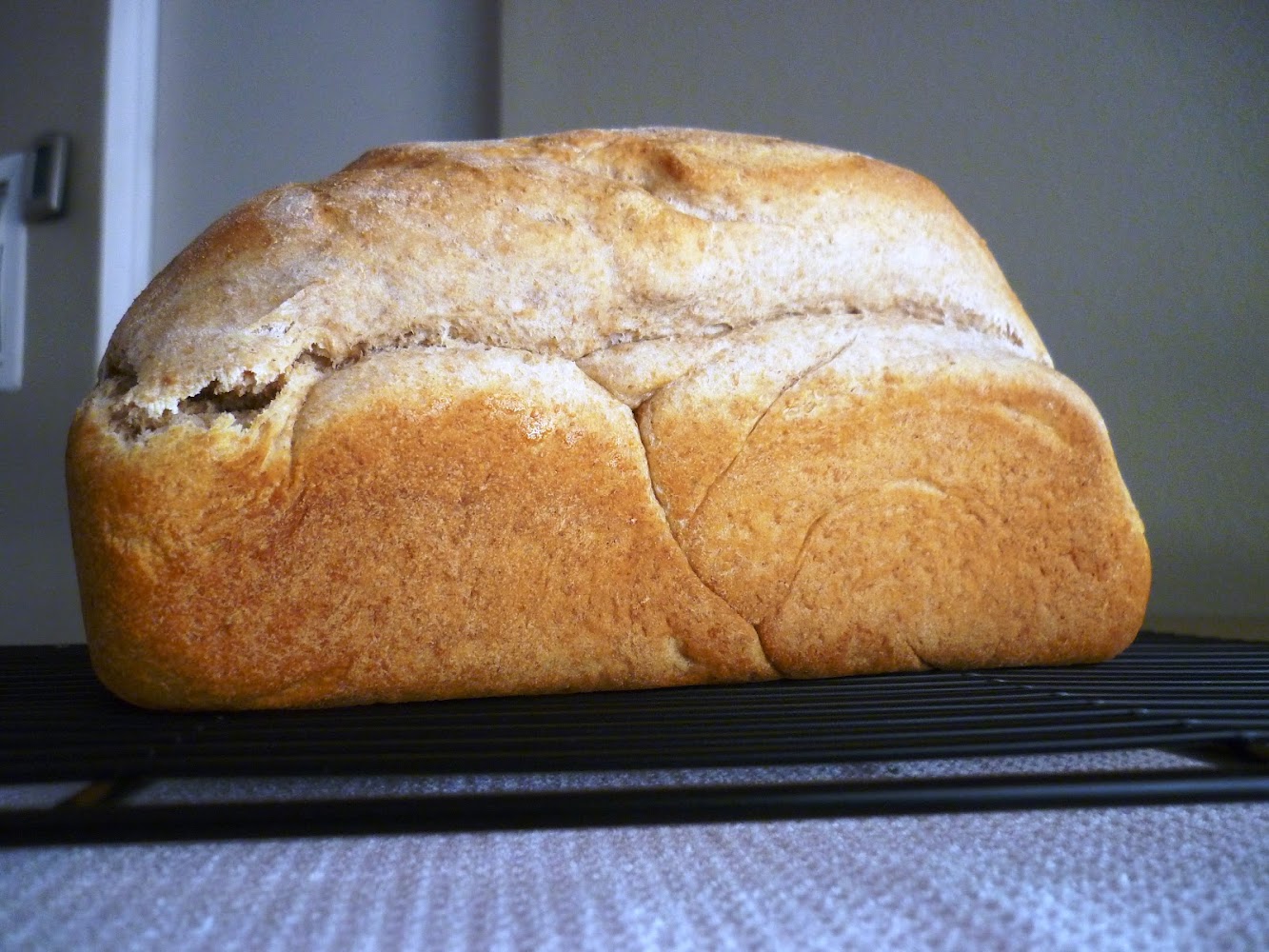 Whole Wheat Bread