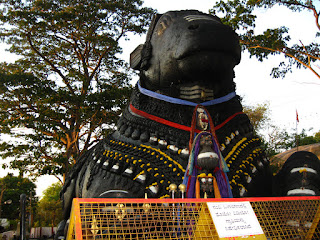 Nandi at chamundi hill