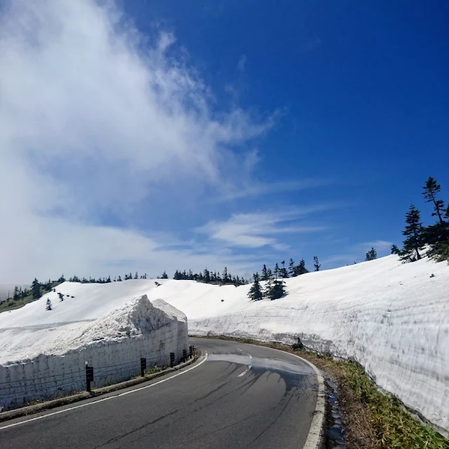 志賀草津高原ルート　雪の回廊