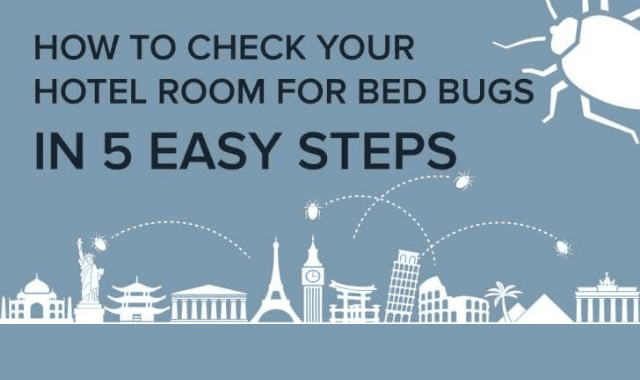 How to Check Your Hotel Room for Bed Bugs