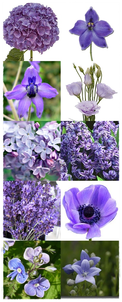 Here are 10 of my favorite wedding flowers in purple Hydrangea larkspur