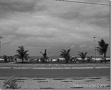 Watermark_6