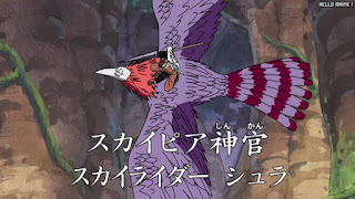 ワンピース アニメ 空島 スカイピア 164話 シュラ | ONE PIECE Episode 164 Skypiea