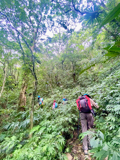 往美鹿山南峰