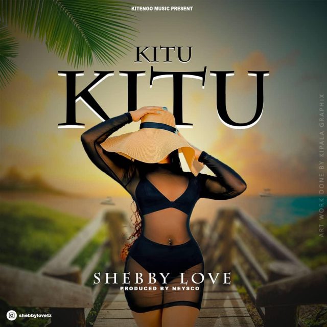 AUDIO | Shebby Love - Kitukitu | Mp3 DOWNLOAD