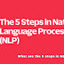 What are the 5 steps in NLP?