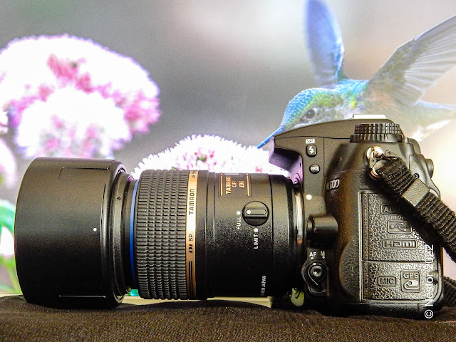 Tamron 90 mm macro para Nikon
