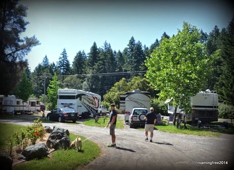 Overnight sites at Richardson Grove