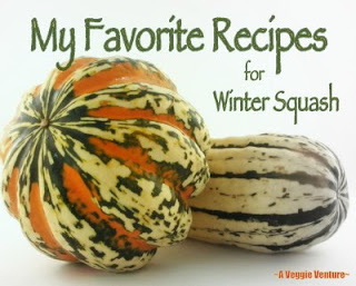 A Veggie Venture's favorite recipes for winter squash, mostly butternut squash!
