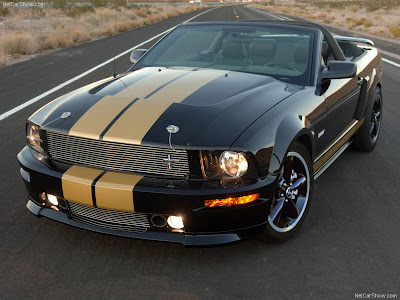 2008 Ford Mustang Shelby GT-H Convertible 2008 : Collection of Ford 