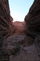 IMG_0015
