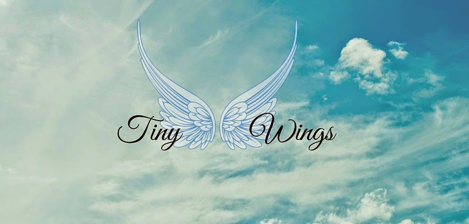 Tiny Wings