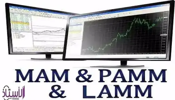 What-is-PAMM-account-in-forex