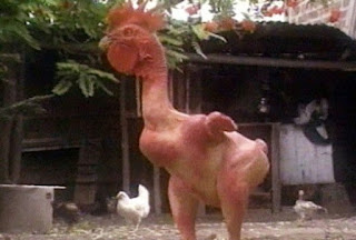 un pollo senza piume in un pollaio (sullo sfondo, alcuni polli "tradizionali")