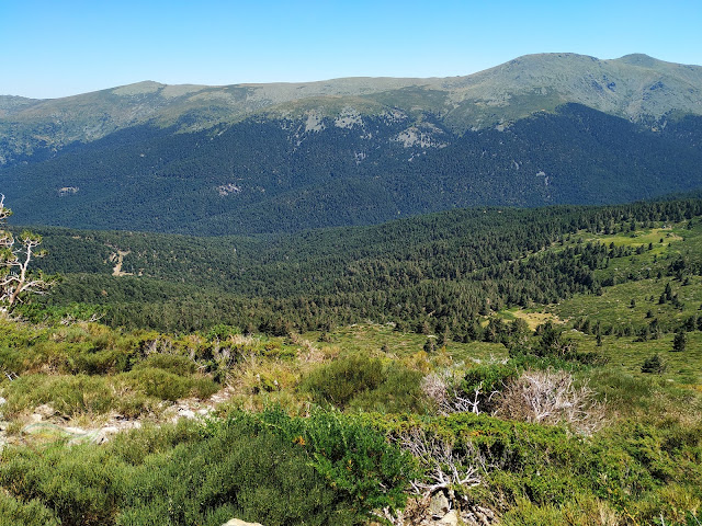 Subida al Peñalara . Techo de Madrid y Segovia. Parque Nacional de Guadarrama