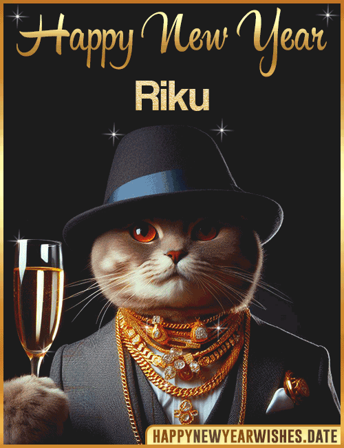 Happy New Year Cat Funny Gif Riku