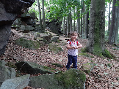 Bambina con zaino in una faggeta dalle rocce affioranti