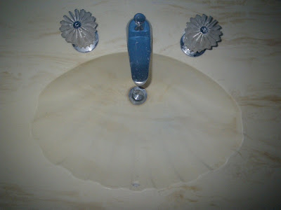 Seashell Sink