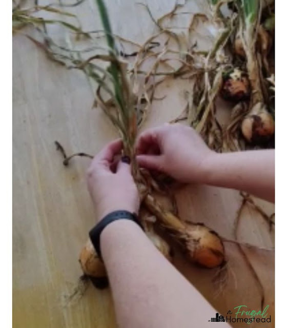 how to braid onions