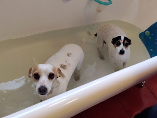 In the bath