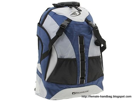 Female-handbag:handbag-1218235