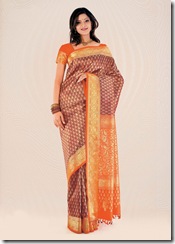 indian sari 7