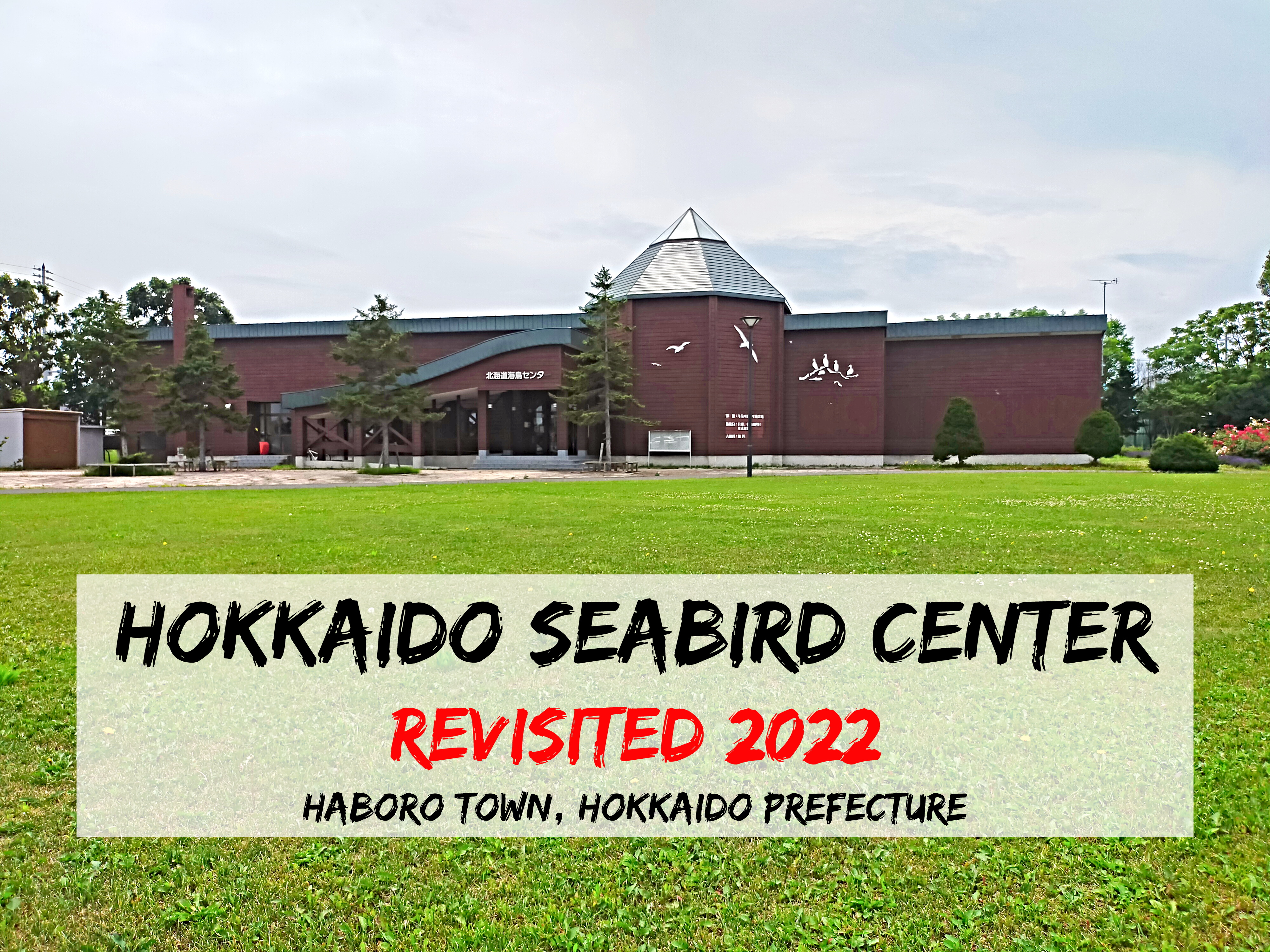 Summer Hokkaido Seabird Center Revisited 2022