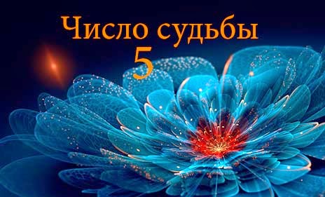 Цифра судьбы 9