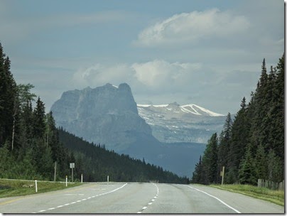 DSCF7391