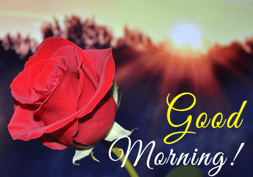 70+ Good Morning SMS, Wishes, Quotes And Gif Images HD Download