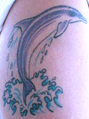 Dolphin Tattoos