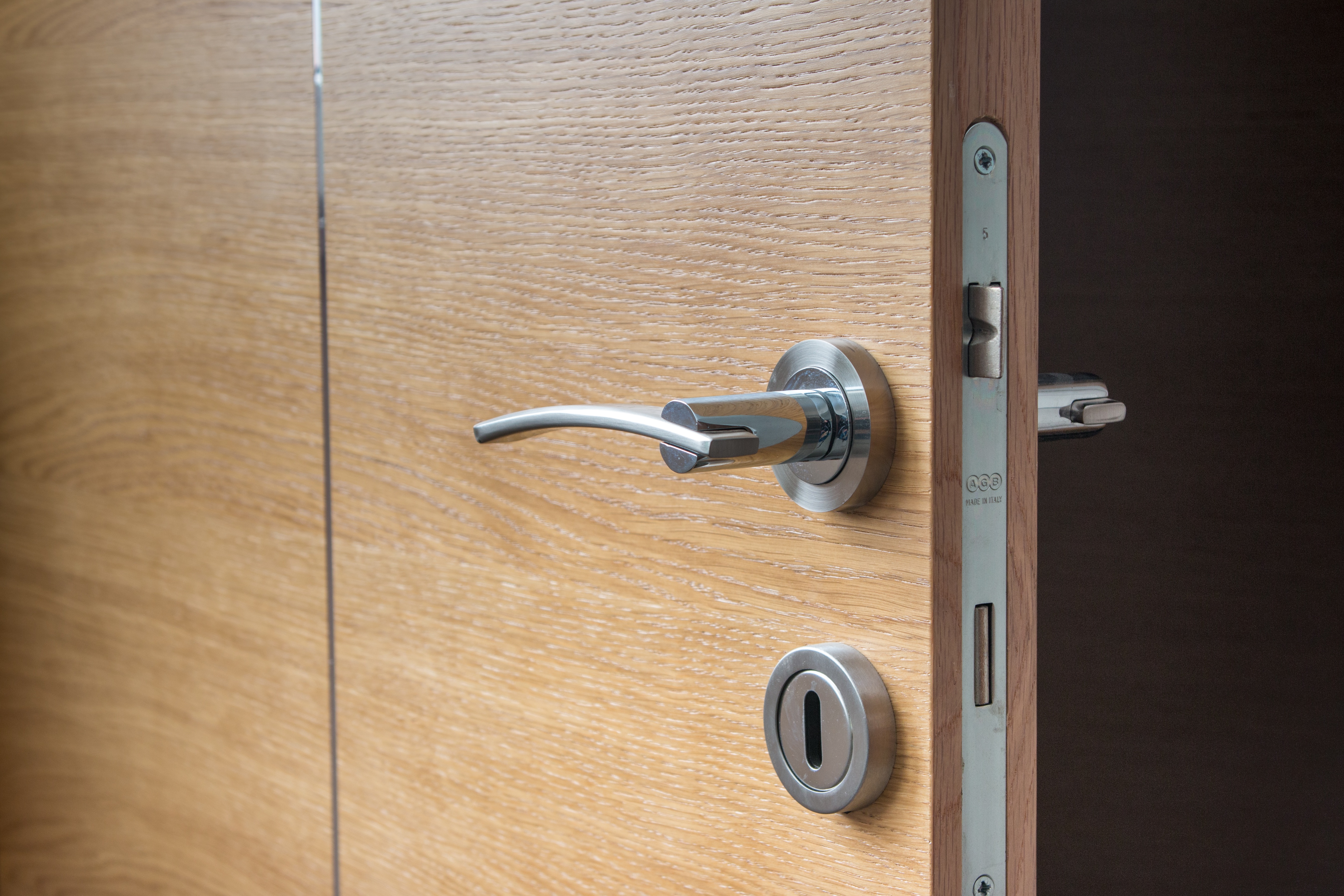 Deadbolt Lock for Home