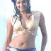 South Indian Actress Hot Sexy Wet Photos Stills from Movies