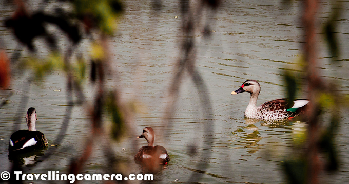 The Hauz Khas Tank is not just a reservoir; it is a testament to the enduring spirit of Delhi. Amidst the urban hustle, this historical oasis stands as a reminder of the city's rich past, offering a peaceful haven where history, nature, and tranquility converge. Whether you seek a quiet retreat, a historical exploration, or a moment of reflection, the Hauz Khas Tank invites you to partake in its timeless beauty, where the echoes of history resonate with the whispers of the present.