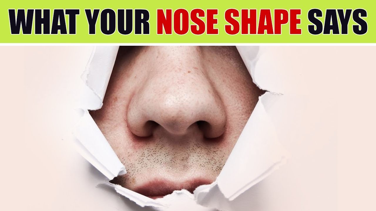 The Shape Of Your Nose Indicates Hidden Truths About Your Personality