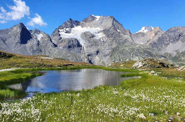 Photo 77/90 - Depuis le col de Bernina, ou n...