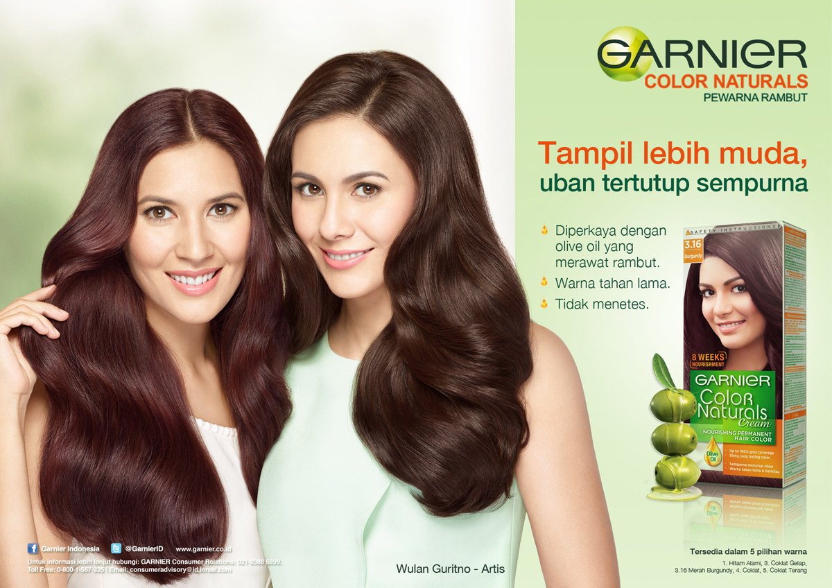  Garnier  Color Naturals Cream Nourishing Permanent Hair 