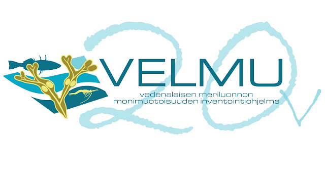 Velmu-logo, jonka taustalla teksti 20 v