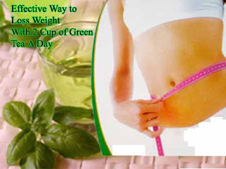 Green Tea to Loss Weight