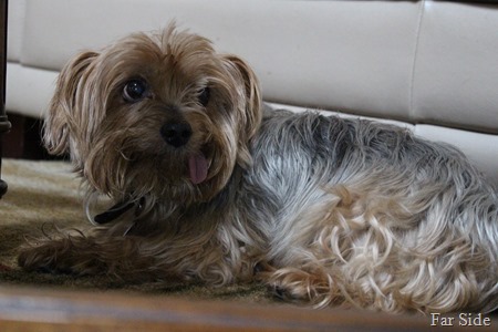 Ernie 2014