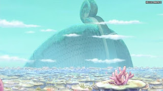 ワンピースアニメ 魚人島編 558話 ノア | ONE PIECE Episode 558