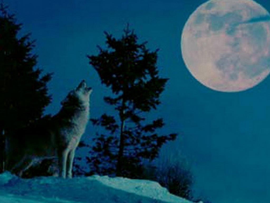 Wolf_Moon_Wallpaper.jpg