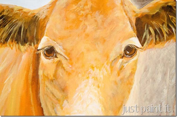 face-close-up