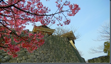 DSCN0293_232