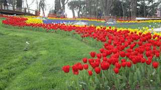 Emirgan Korusu - Lale Festivali