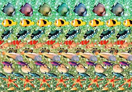 3d Pictures Magic Eye3